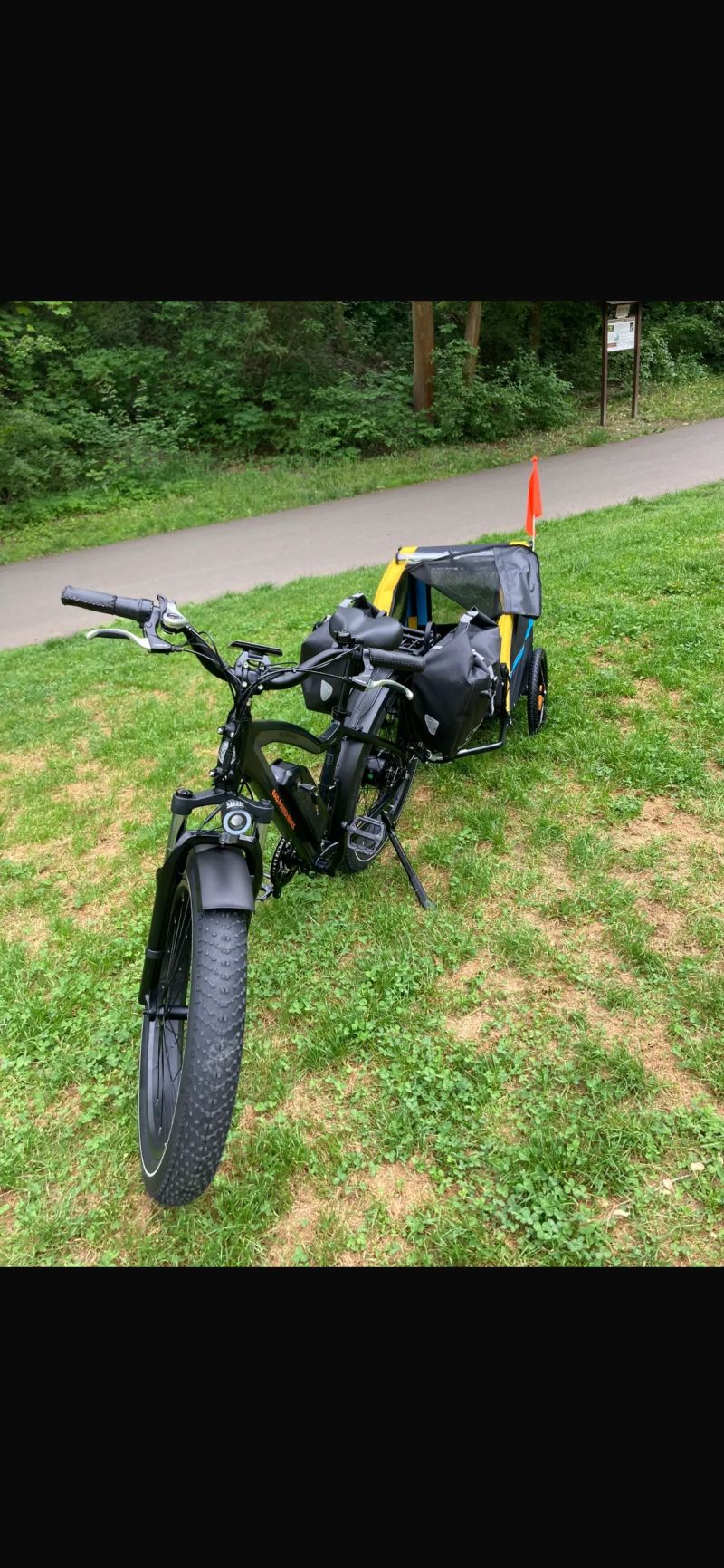 Rad Rhino 6
