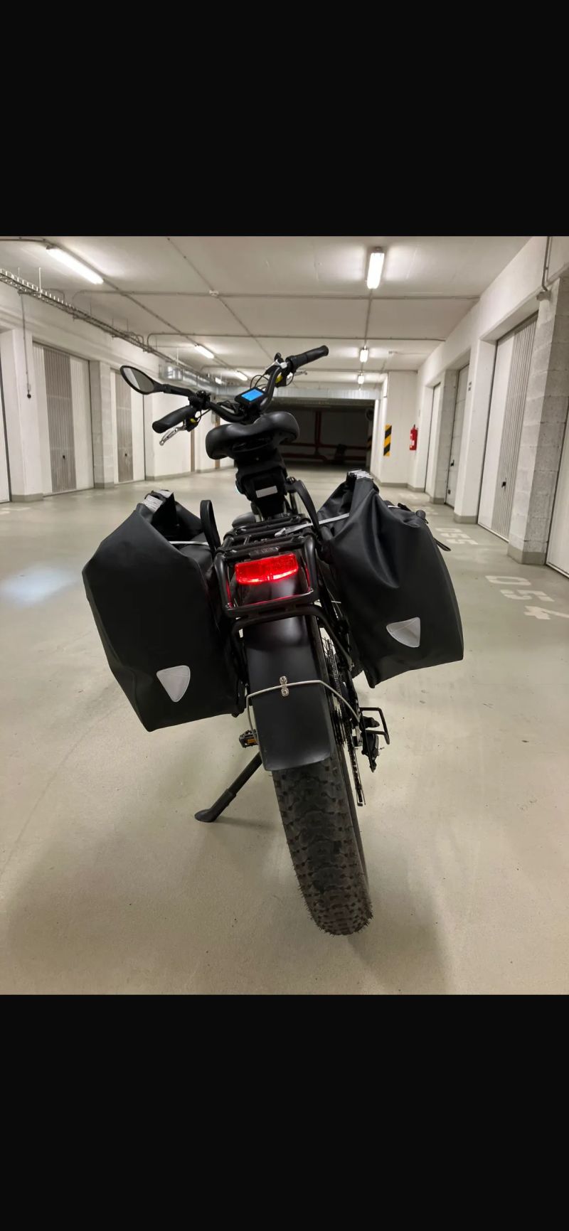Rad Rhino 6