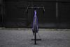 Pinarello F MY25 2025, Shimano Ultegra Di2 2x12, FastWay Carbon