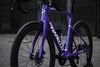 Pinarello F MY25 2025, Shimano Ultegra Di2 2x12, FastWay Carbon