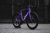 Pinarello F MY25 2025, Shimano Ultegra Di2 2x12, FastWay Carbon