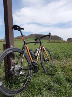 Duratec rebel