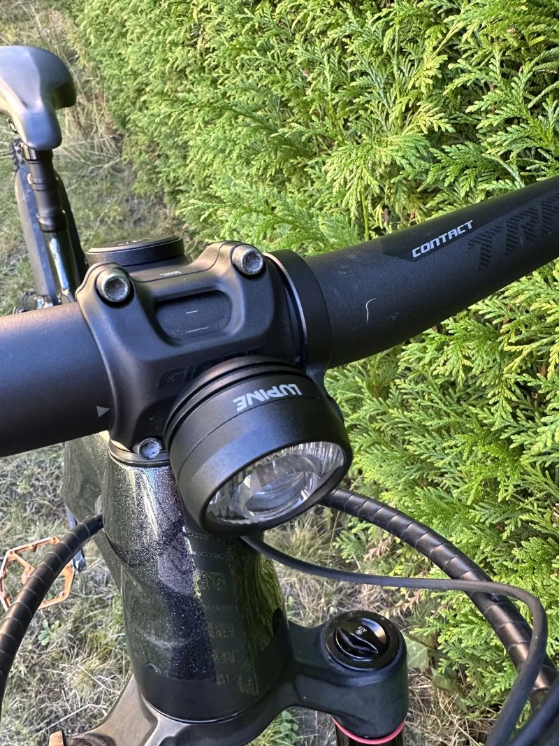 Giant Reign e+ 2 L