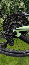 Dartmoor Primal 29, zelená 