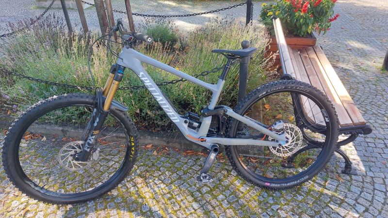 Specialized Enduro (S-works)