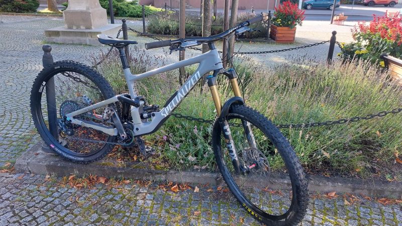 Specialized Enduro (S-works)