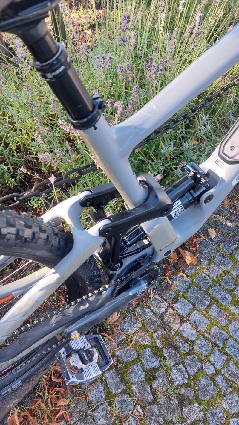 Specialized Enduro (S-works)