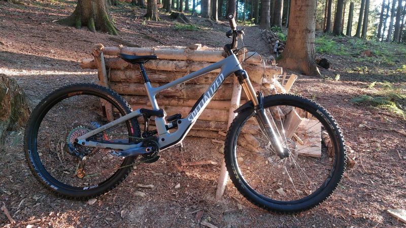 Specialized Enduro (S-works)