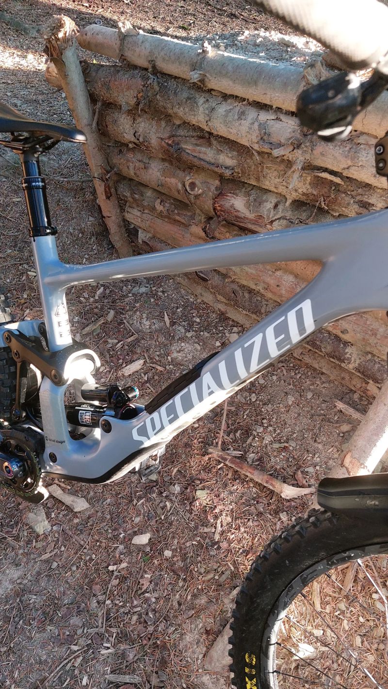 Specialized Enduro (S-works)