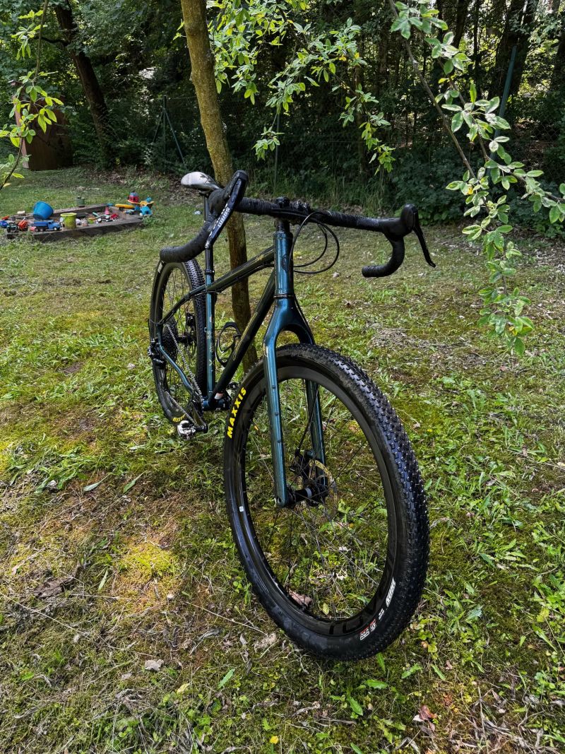 Salsa Fargo 1x12 Roval Sl