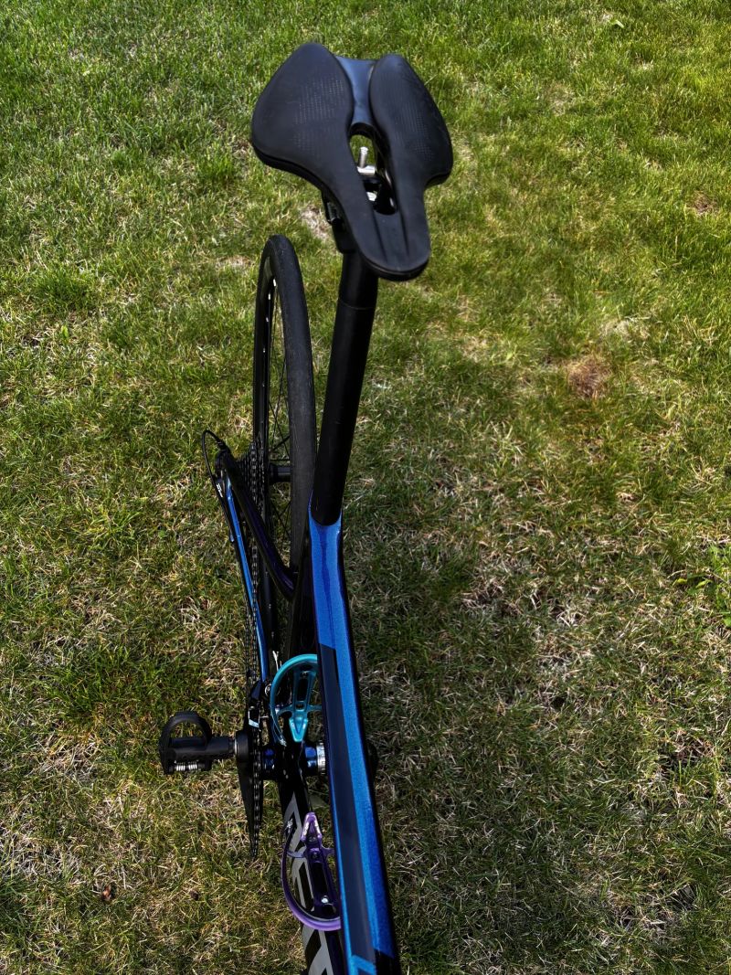 Dema Leony 8