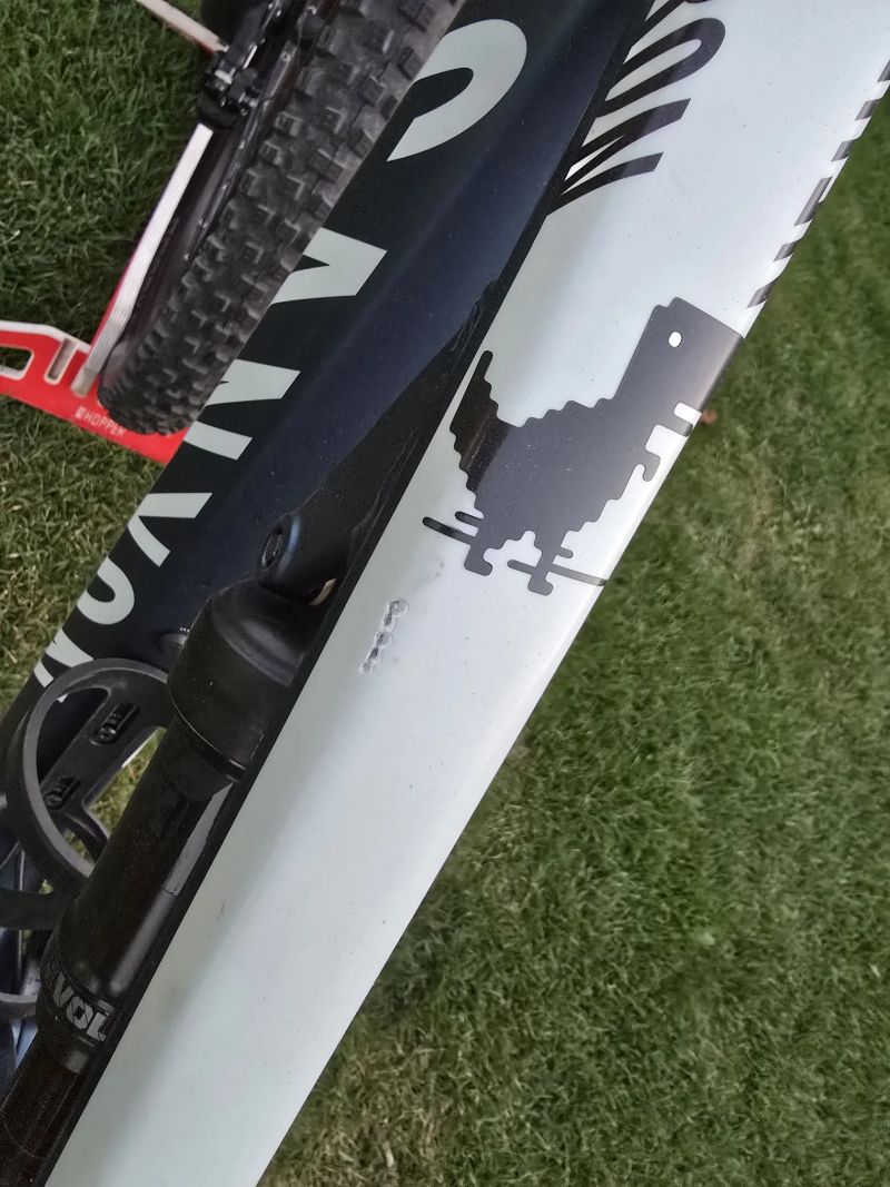 Canyon Canyon Neuron WMN AL XS, 154-166 cm