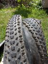 Maxxis Adrent Race 2,35