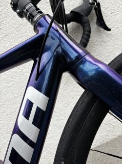 Dema Leony 8