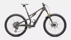 Specialized Stumpjumper 15 SWORKS