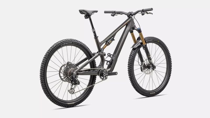 Specialized Stumpjumper 15 SWORKS