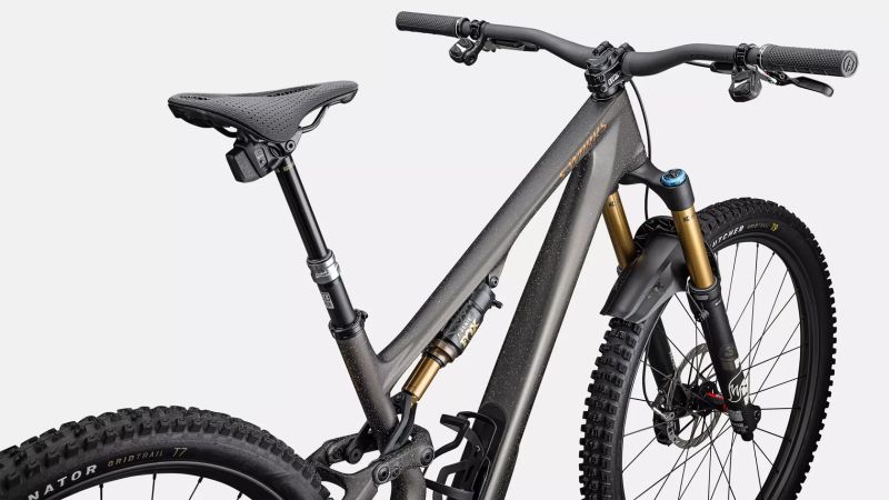 Specialized Stumpjumper 15 SWORKS