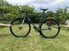 Cinelli Tutto