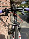 Cinelli Tutto