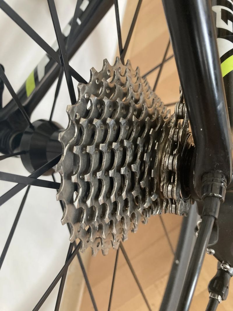 Giant TCR Advanced 1