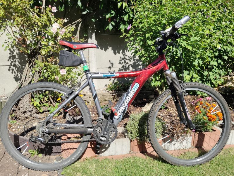 Mongoose Newman 7.3