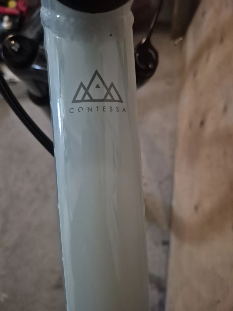 Scott Contessa