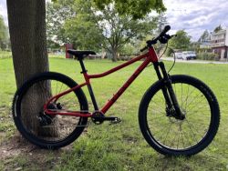 Rascal Wild 26 a 27