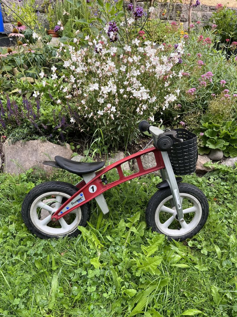 Odrážedlo Firstbike Street + košík + adaptéry na snížení