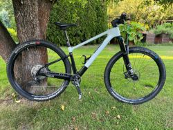 Focus Raven 8.8 DI 29