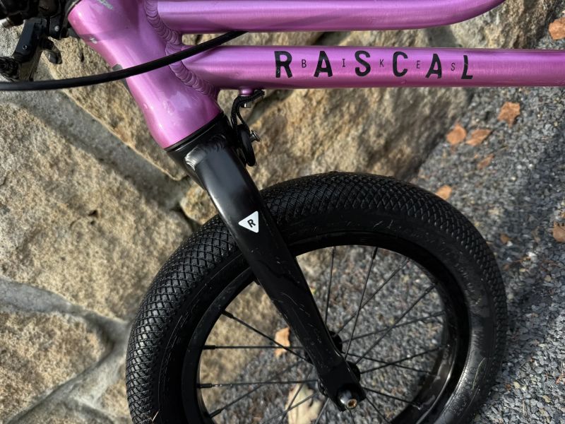 Rascal Punk