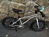 Early Rider Belter 16'