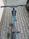 CTM Dirtking 2021