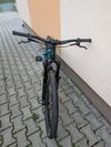 CTM Dirtking 2021