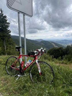 Trek Alpha 200