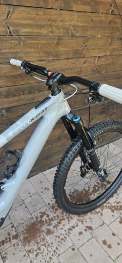 Specialized Kenevo sl Expert