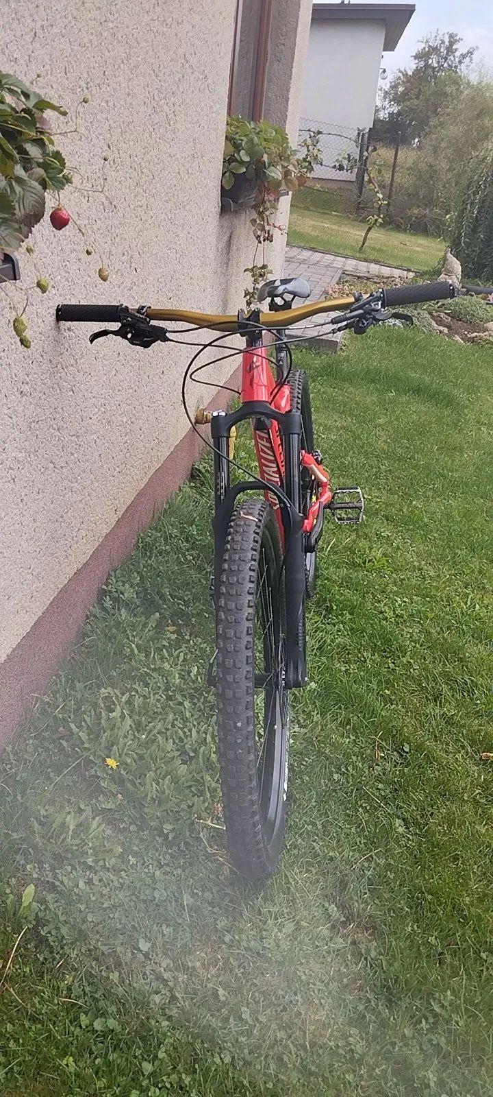 Specialized Stumpjumper