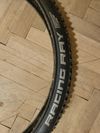 Schwalbe