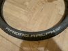 Schwalbe