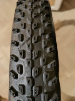Schwalbe
