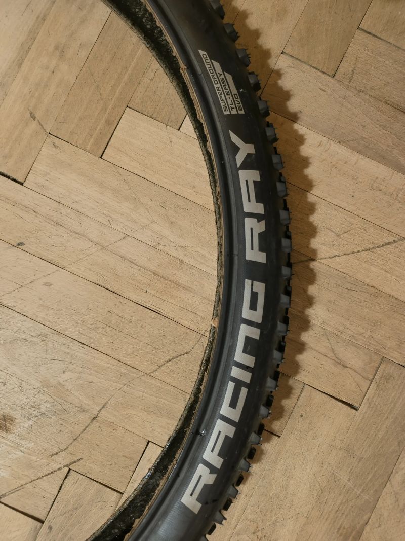 Schwalbe
