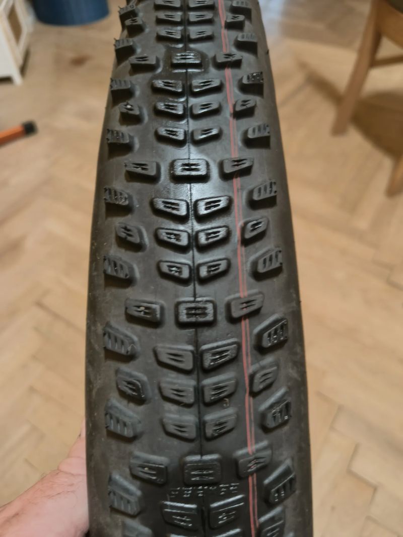 Schwalbe