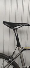 Canyon Endurance CF