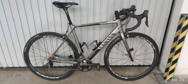 Canyon Endurance CF