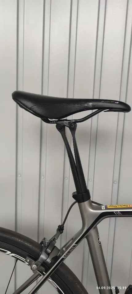 Canyon Endurance CF