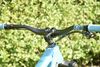 Trek Remedy 8