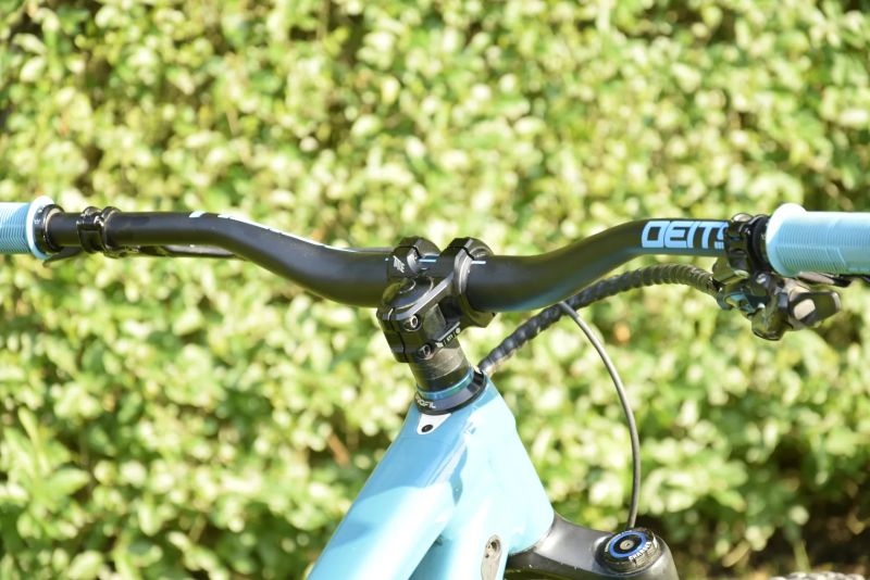 Trek Remedy 8