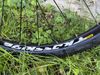 Cannondale Trail 1