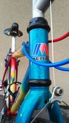 Merida Ambition