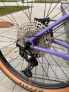Jeronimo Txabardo / 29er / CrMo / Custom Hardtail 