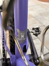 Jeronimo Txabardo / 29er / CrMo / Custom Hardtail 